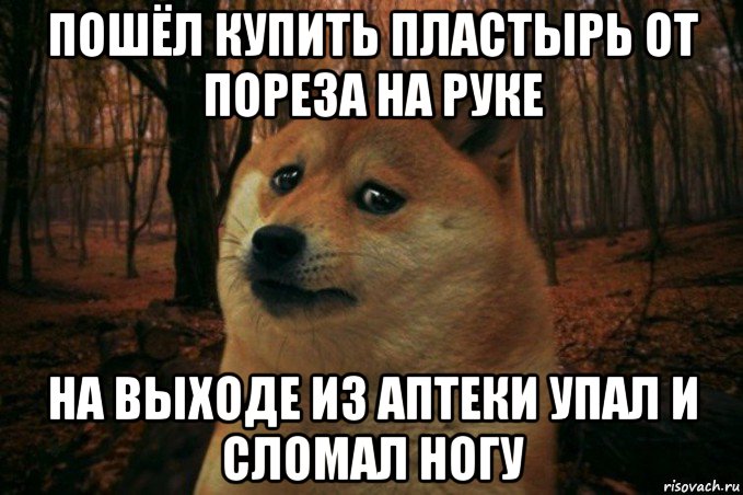 пошёл купить пластырь от пореза на руке на выходе из аптеки упал и сломал ногу, Мем SAD DOGE