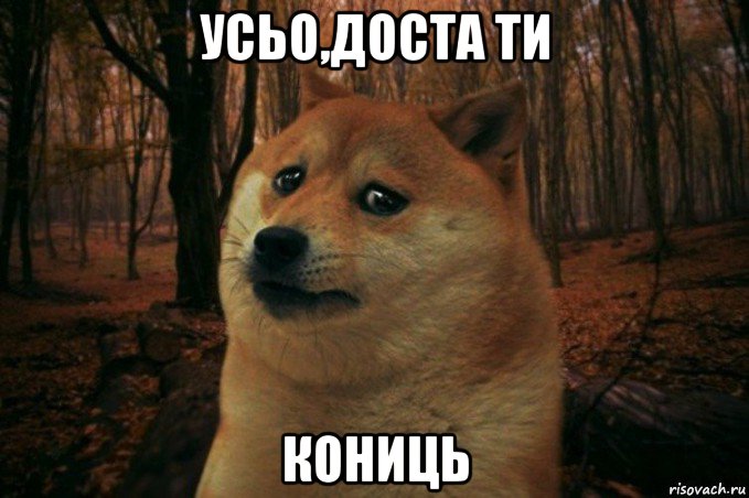 усьо,доста ти кониць, Мем SAD DOGE