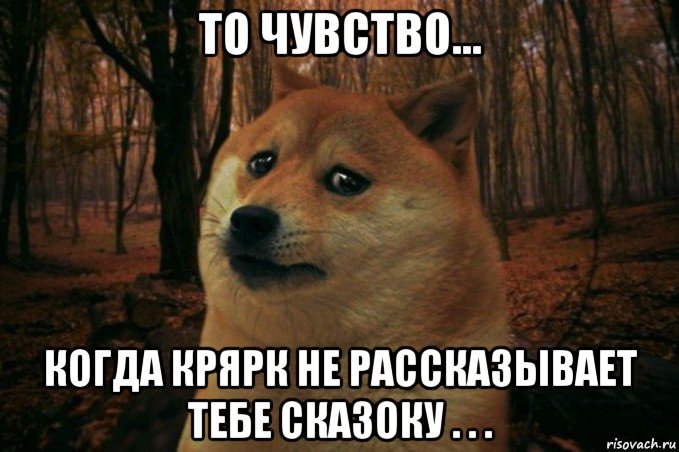 то чувство... когда крярк не рассказывает тебе сказоку . . ., Мем SAD DOGE