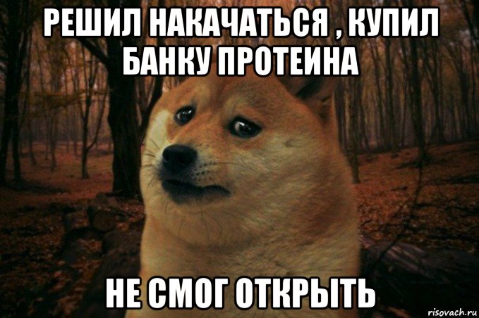 решил накачаться , купил банку протеина не смог открыть, Мем SAD DOGE