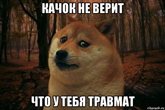 качок не верит что у тебя травмат, Мем SAD DOGE