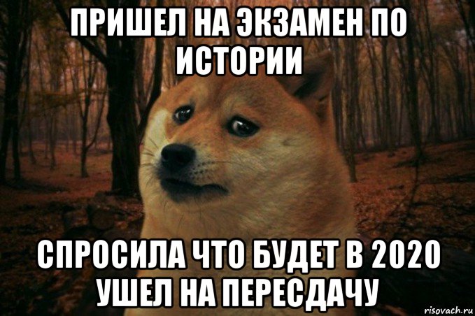 пришел на экзамен по истории спросила что будет в 2020 ушел на пересдачу, Мем SAD DOGE