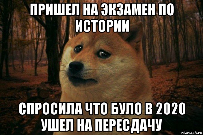 пришел на экзамен по истории спросила что було в 2020 ушел на пересдачу, Мем SAD DOGE