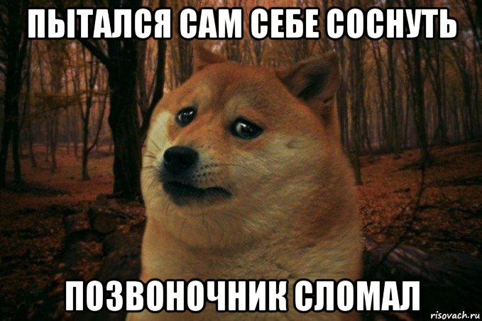 пытался сам себе соснуть позвоночник сломал, Мем SAD DOGE