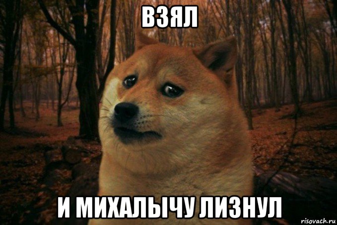 взял и михалычу лизнул, Мем SAD DOGE