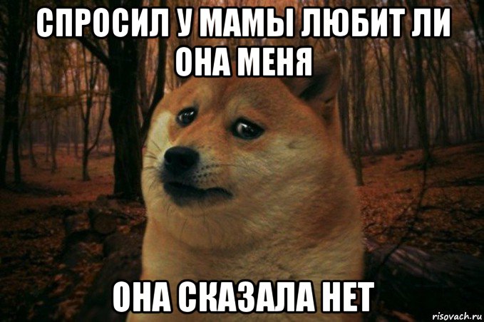 спросил у мамы любит ли она меня она сказала нет, Мем SAD DOGE