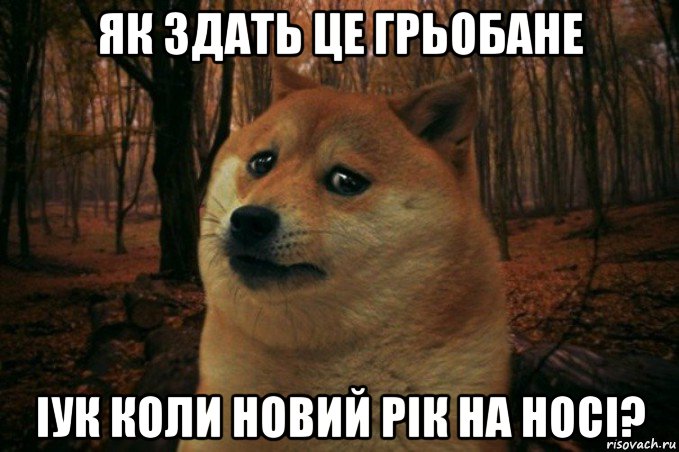 як здать це грьобане іук коли новий рік на носі?, Мем SAD DOGE