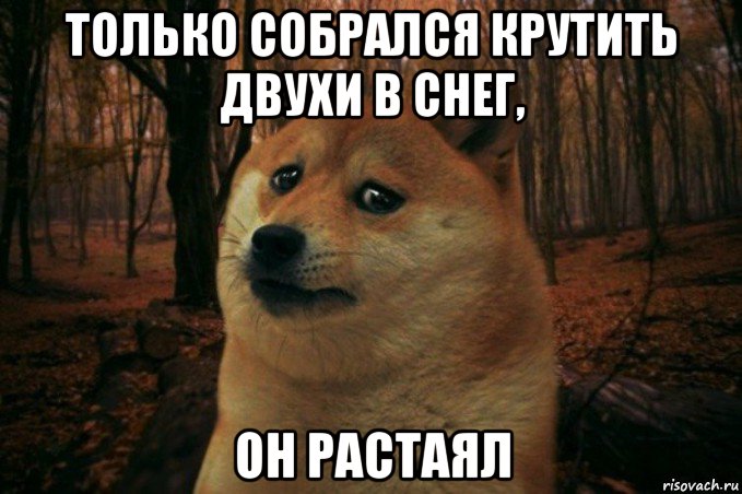 только собрался крутить двухи в снег, он растаял, Мем SAD DOGE