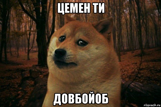 цемен ти довбойоб, Мем SAD DOGE