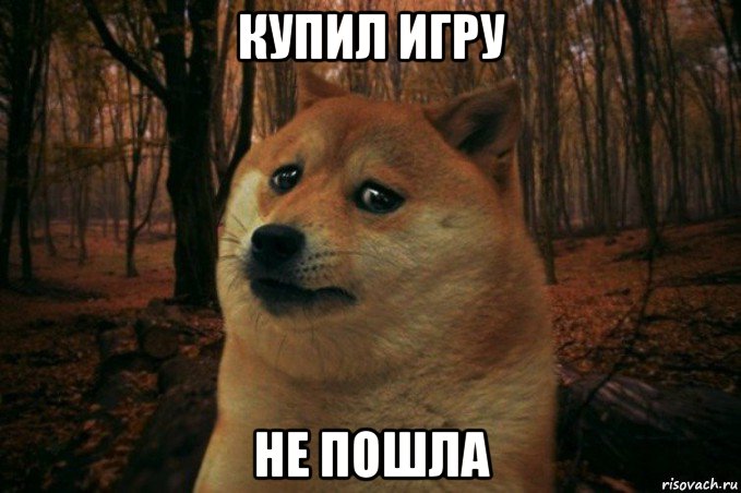 купил игру не пошла, Мем SAD DOGE