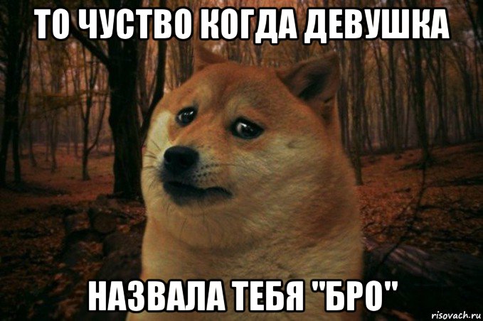 то чуство когда девушка назвала тебя "бро", Мем SAD DOGE