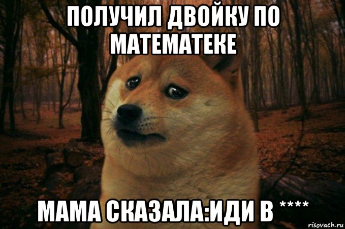 получил двойку по математеке мама сказала:иди в ****, Мем SAD DOGE