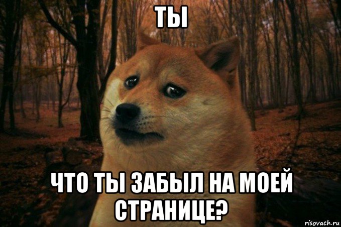 ты что ты забыл на моей странице?, Мем SAD DOGE