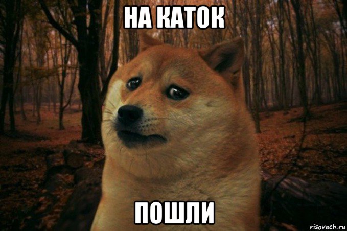 на каток пошли, Мем SAD DOGE