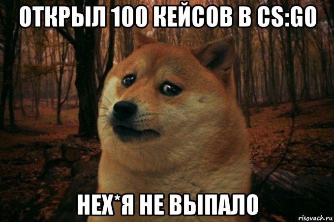 открыл 100 кейсов в cs:go нех*я не выпало, Мем SAD DOGE