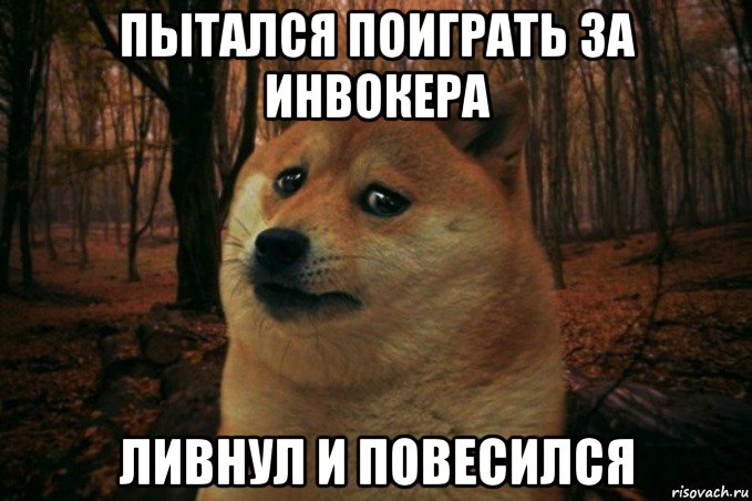 пытался поиграть за инвокера ливнул и повесился, Мем SAD DOGE