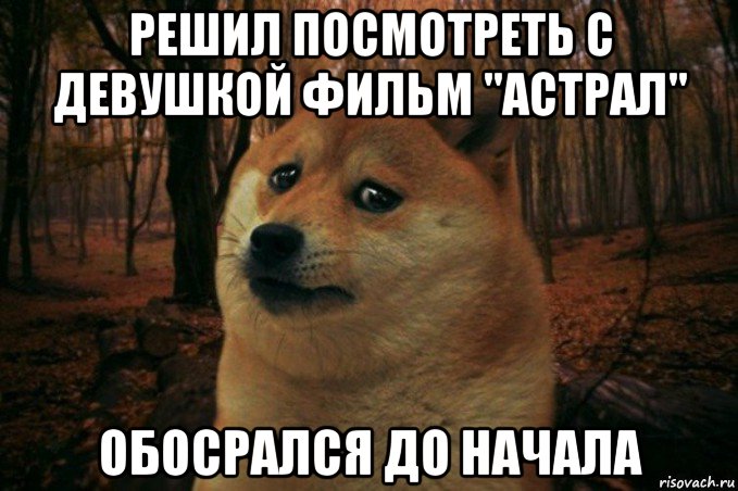 решил посмотреть с девушкой фильм "астрал" обосрался до начала, Мем SAD DOGE