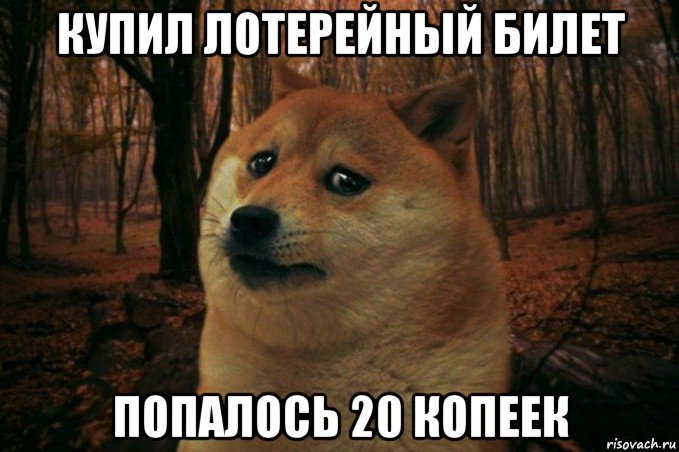 купил лотерейный билет попалось 20 копеек, Мем SAD DOGE