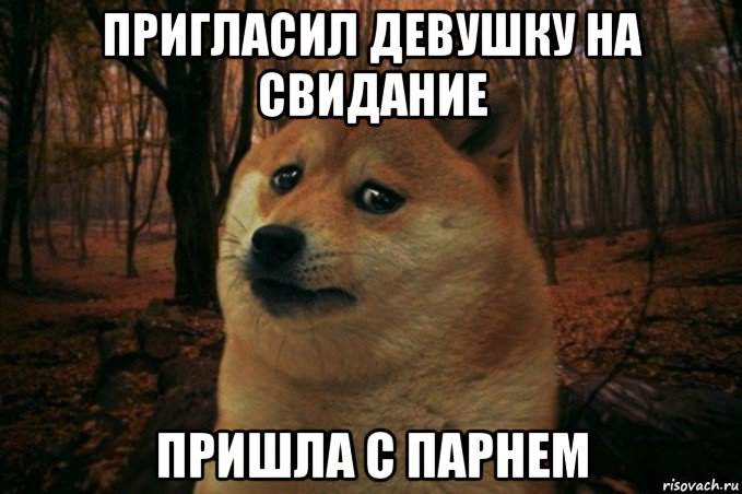 пригласил девушку на свидание пришла с парнем, Мем SAD DOGE