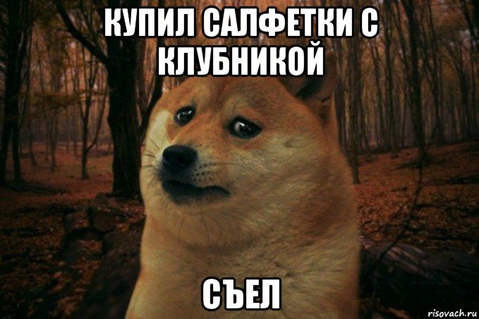 купил салфетки с клубникой съел, Мем SAD DOGE