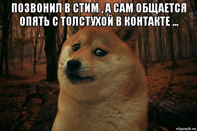 позвонил в стим , а сам общается опять с толстухой в контакте ... , Мем SAD DOGE