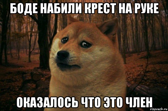 боде набили крест на руке оказалось что это член, Мем SAD DOGE