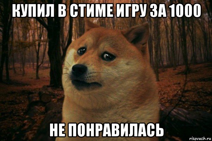 купил в стиме игру за 1000 не понравилась, Мем SAD DOGE