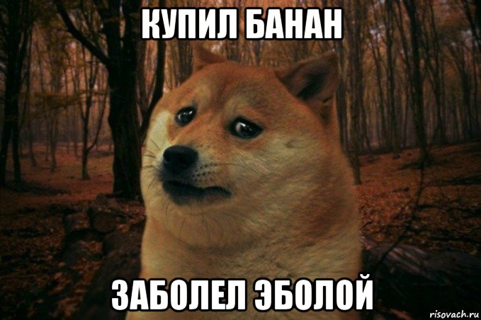 купил банан заболел эболой, Мем SAD DOGE