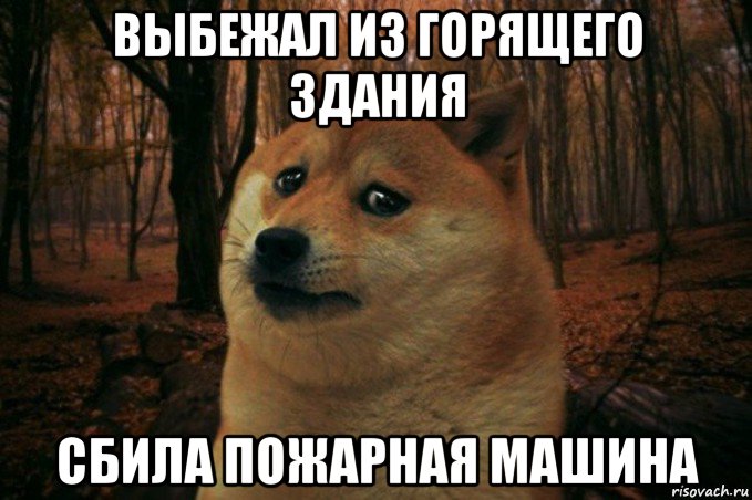 выбежал из горящего здания сбила пожарная машина, Мем SAD DOGE