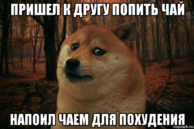 пришел к другу попить чай напоил чаем для похудения, Мем SAD DOGE