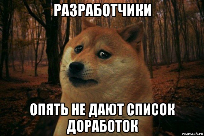 разработчики опять не дают список доработок, Мем SAD DOGE