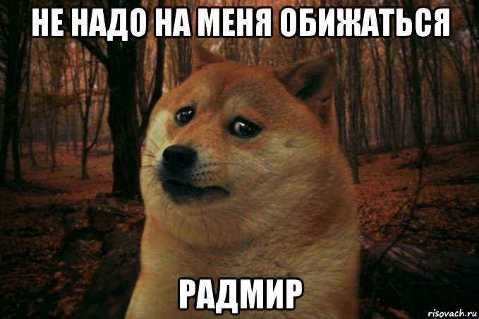 не надо на меня обижаться радмир, Мем SAD DOGE