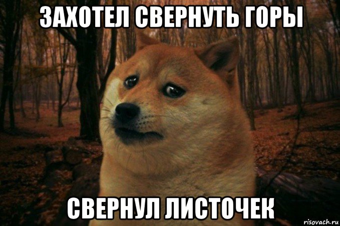 захотел свернуть горы свернул листочек, Мем SAD DOGE