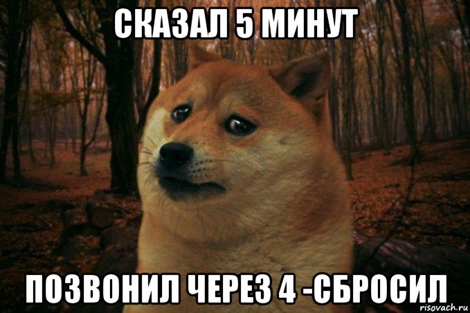 сказал 5 минут позвонил через 4 -сбросил, Мем SAD DOGE