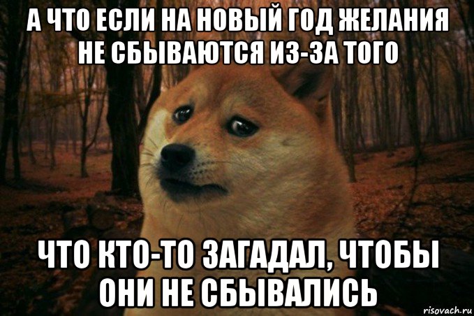 а что если на новый год желания не сбываются из-за того что кто-то загадал, чтобы они не сбывались, Мем SAD DOGE