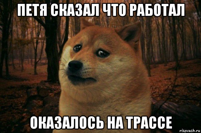 петя сказал что работал оказалось на трассе, Мем SAD DOGE