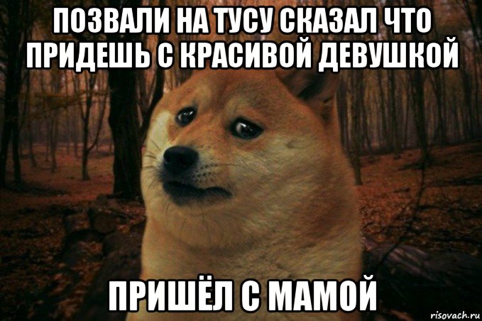 позвали на тусу сказал что придешь с красивой девушкой пришёл с мамой, Мем SAD DOGE