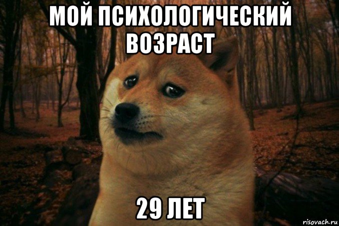 мой психологический возраст 29 лет, Мем SAD DOGE