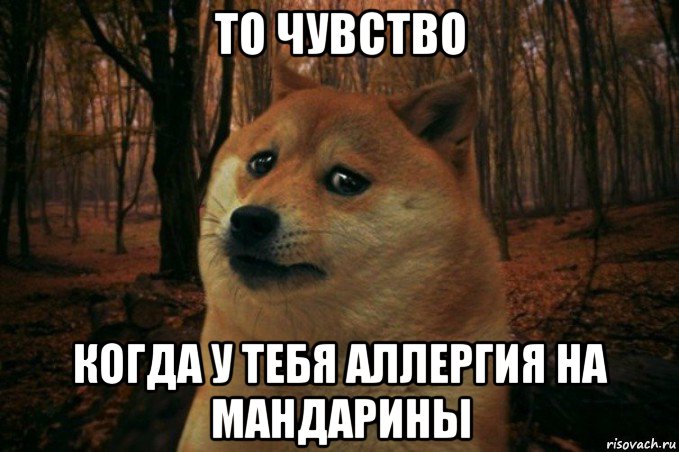 то чувство когда у тебя аллергия на мандарины, Мем SAD DOGE