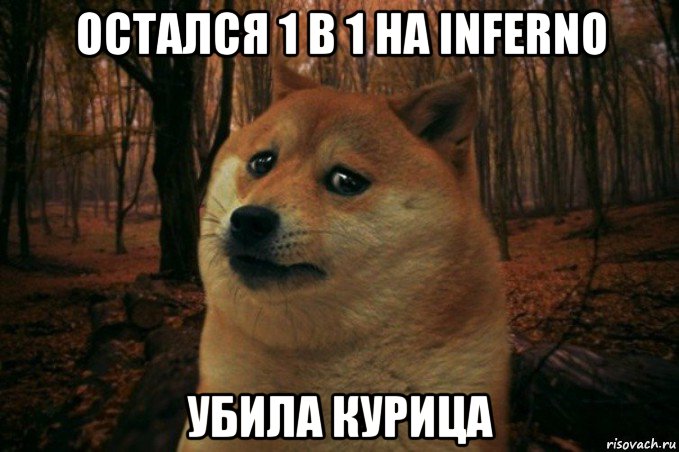 остался 1 в 1 на inferno убила курица, Мем SAD DOGE