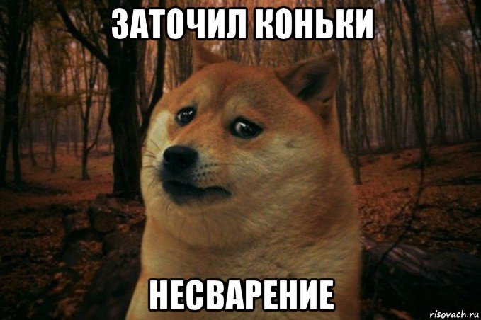 заточил коньки несварение, Мем SAD DOGE