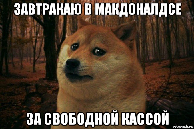 завтракаю в макдоналдсе за свободной кассой, Мем SAD DOGE