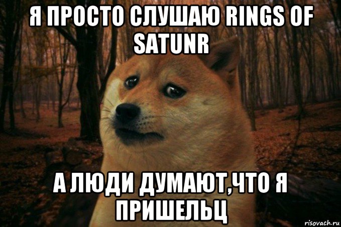 я просто слушаю rings of satunr а люди думают,что я пришельц, Мем SAD DOGE