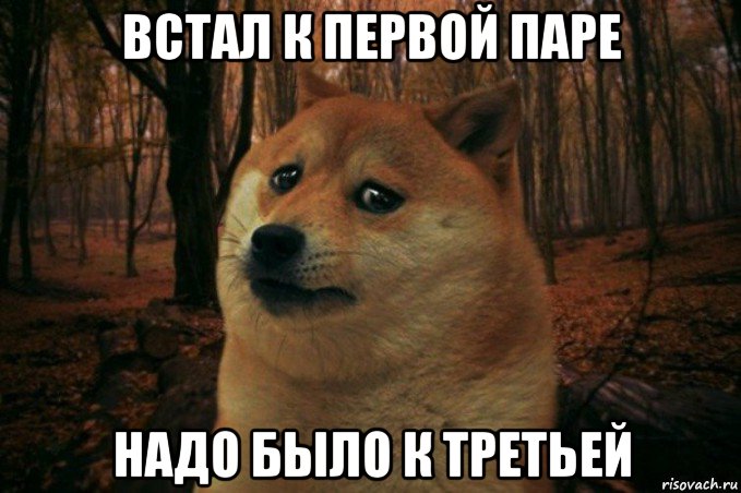 встал к первой паре надо было к третьей, Мем SAD DOGE