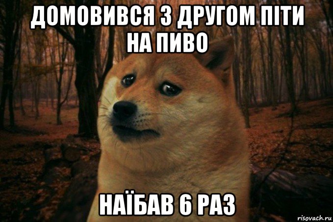 домовився з другом піти на пиво наїбав 6 раз, Мем SAD DOGE