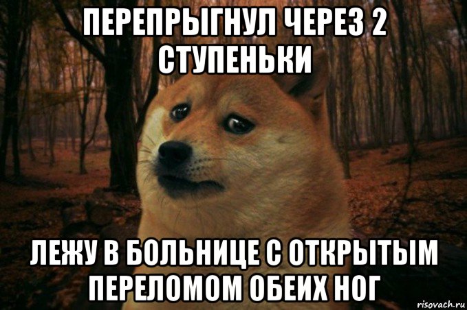 перепрыгнул через 2 ступеньки лежу в больнице с открытым переломом обеих ног, Мем SAD DOGE