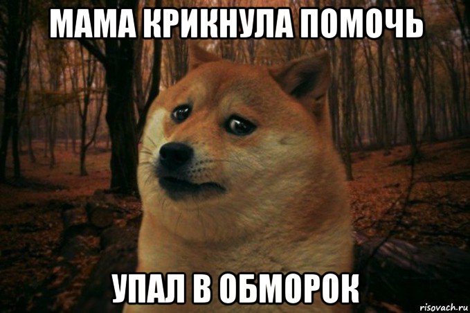 мама крикнула помочь упал в обморок, Мем SAD DOGE