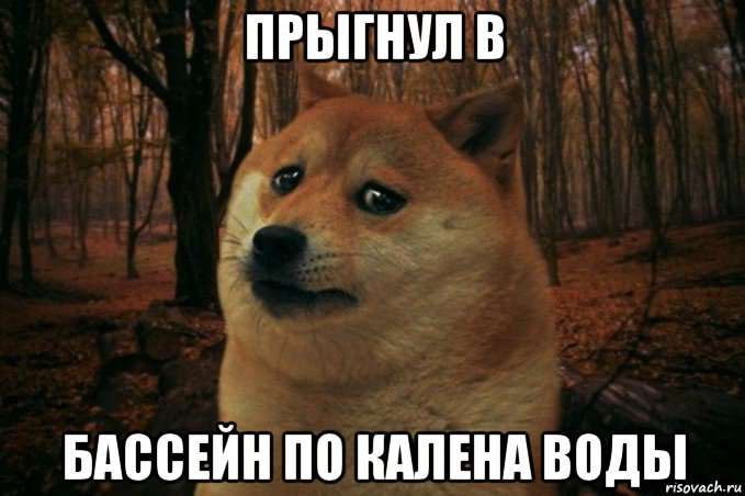 прыгнул в бассейн по калена воды, Мем SAD DOGE