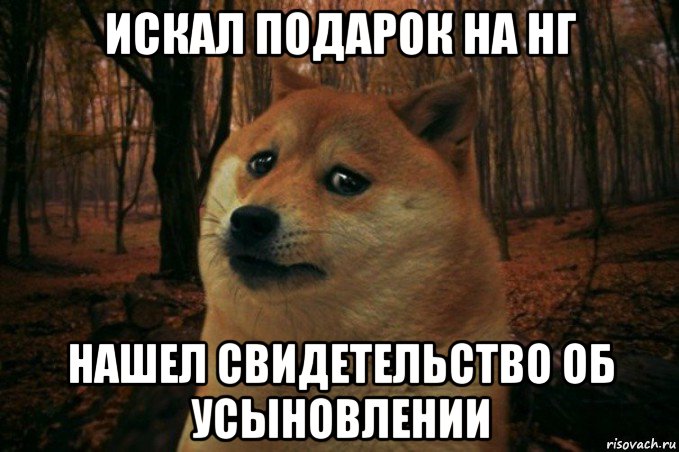 искал подарок на нг нашел свидетельство об усыновлении, Мем SAD DOGE