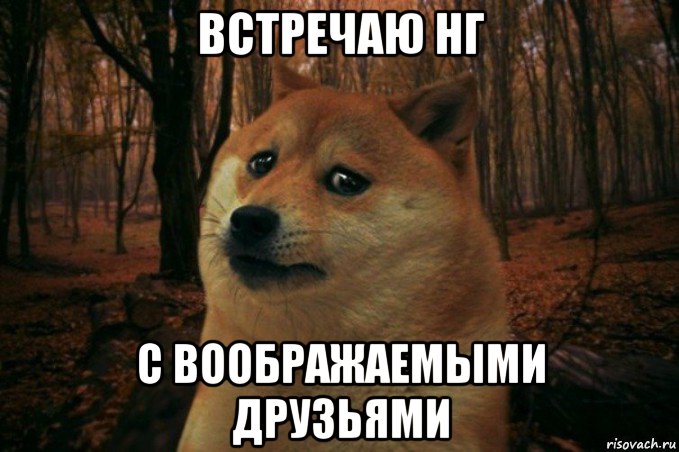 встречаю нг с воображаемыми друзьями, Мем SAD DOGE